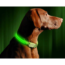 Pets Collars Adjustable Polyester Glow In Night
